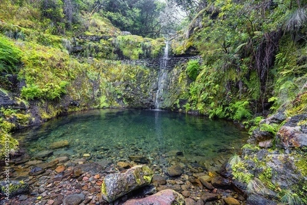 Obraz Small waterfall at Levada do Furado, Madeira, Portugal, Europe.