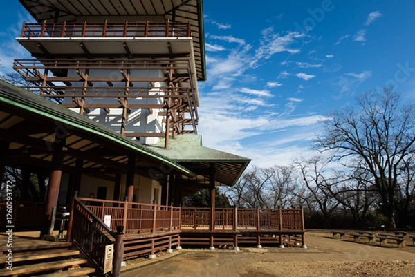 Obraz 神奈川県川崎市枡形山