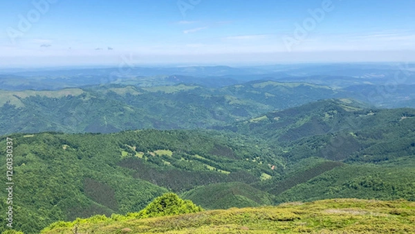 Obraz Scenic view of green forested mountains, meadows, and hills under blue sky in the Balkan Mountains, Bulgaria - Europe
