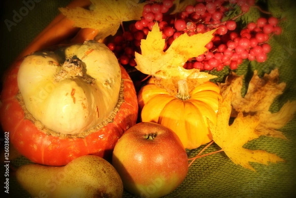 Obraz Herbststillleben