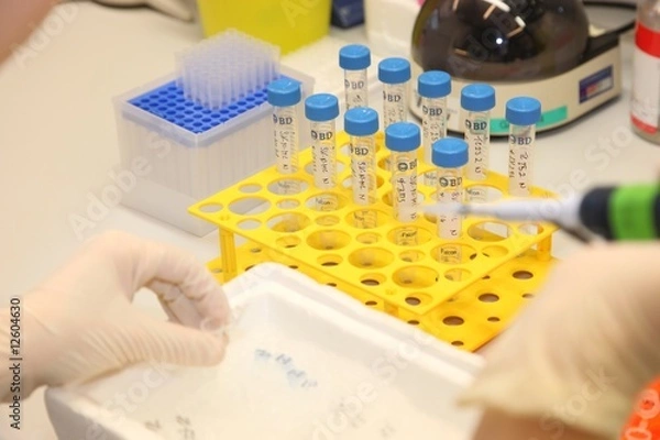 Obraz Kinderkrebsforschung