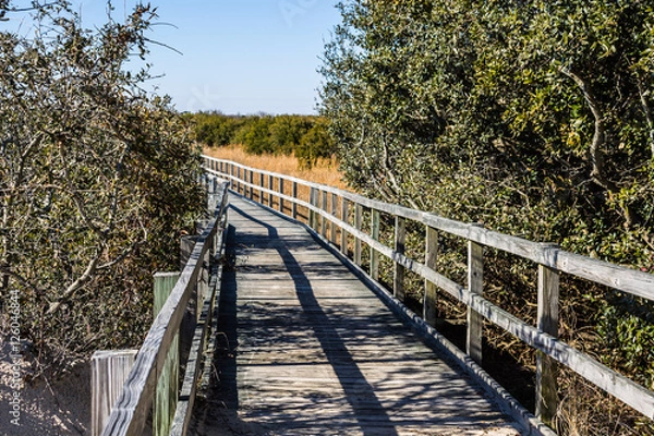 Obraz Footpath through foliage at Back Bay National Wildlife Refuge in Virginia Beach, Virginia.  