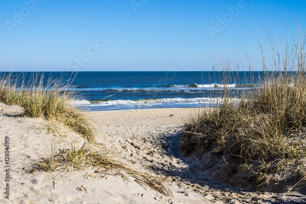 Obraz Sandbridge Beach w Virginia Beach w stanie Wirginia z trawą plażową na wydmach i tle oceanu.