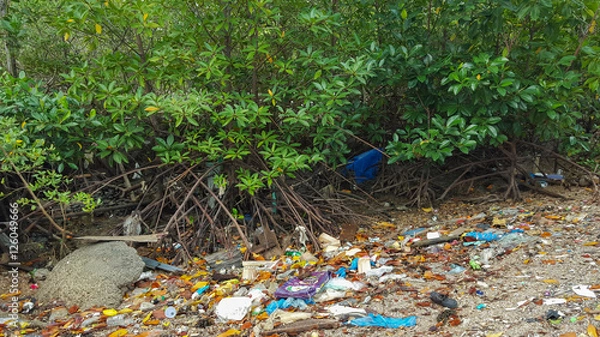 Fototapeta trash in the mangrove forest in Thailand