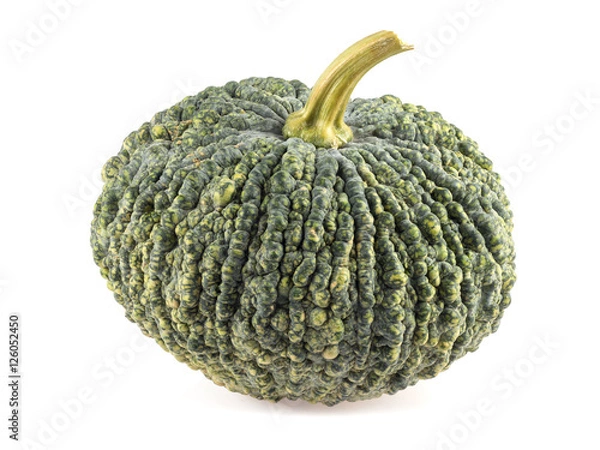 Obraz green pumpkin on white background