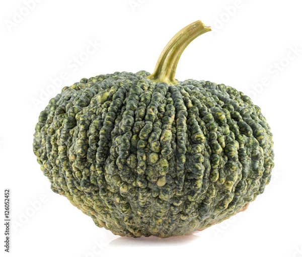 Obraz green pumpkin on white background
