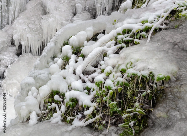 Obraz snow covered grass