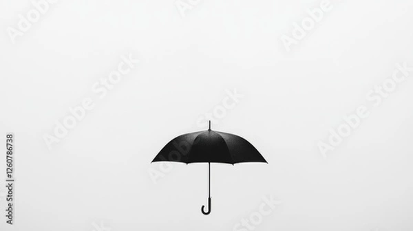 Fototapeta Black umbrella, foggy day, minimalist design, weather protection, website banner