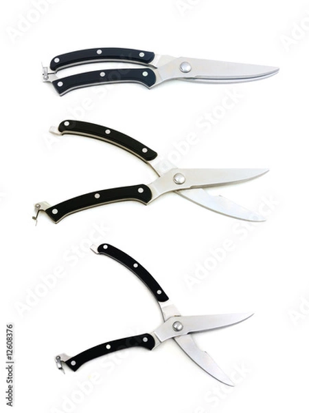 Obraz kitchen scissors group isolated