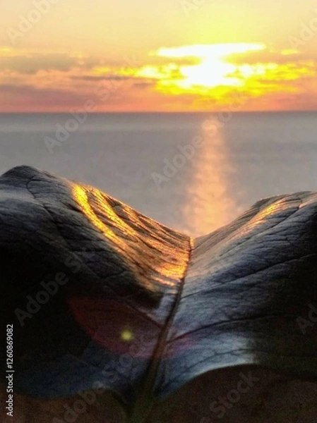 Obraz море и  камни