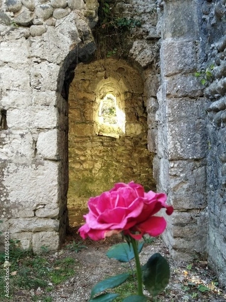 Obraz roses in the old wall