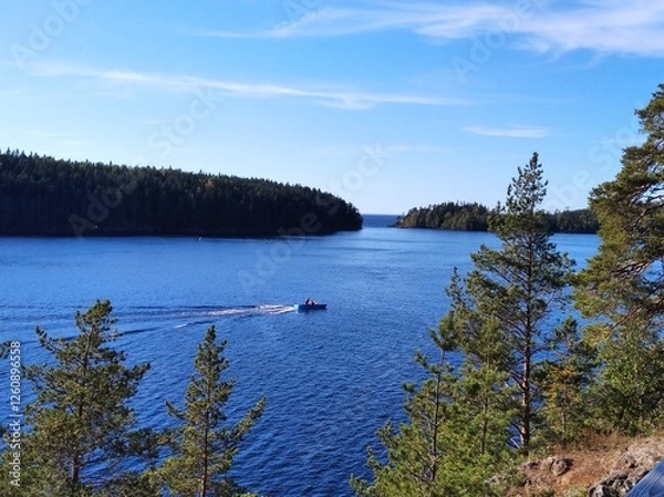 Obraz lake and forest