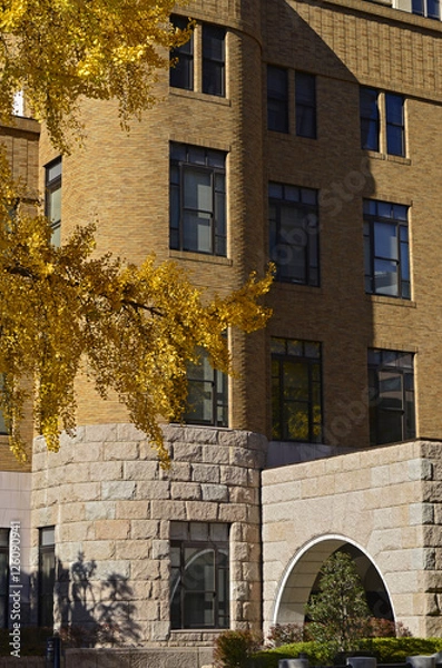 Obraz 日本大通り紅葉