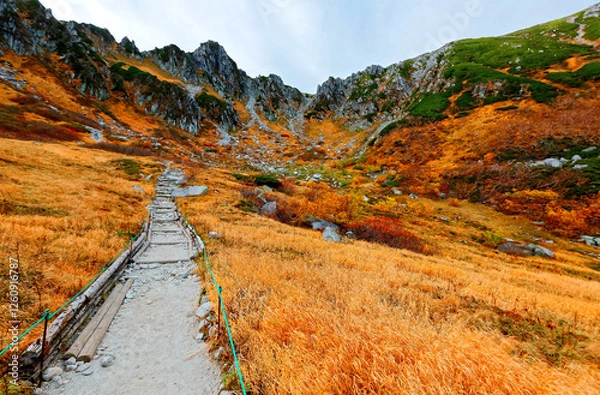 Obraz Fall scenery of a hiking path winding in Senjojiki Cirque & the grass turning into golden colors under rugged peaks of Kiso Mountains in Japanese Central Alps National Park, Komagatake, Nagano, Japan