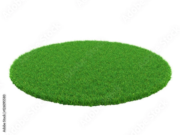Fototapeta Detail of a field of green grass. Grass arena isolated on white background. High resolution 3d illustratio