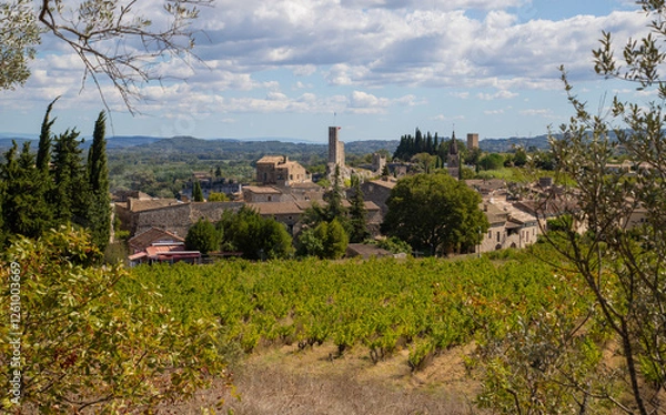 Fototapeta Blick über Weinreben auf das Dorf Aiguèze in Südfrankreich.