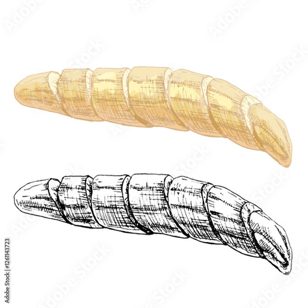 Obraz Banana slice without peeled. Vintage vector hatching color illustration