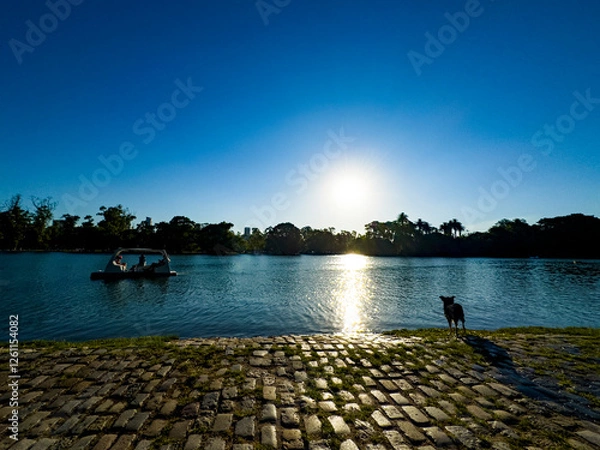 Obraz sunset on the lake