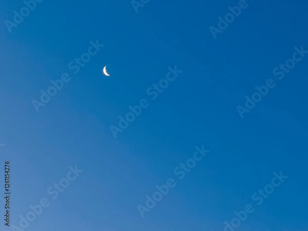 Obraz moon in the sky