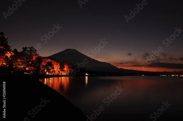 Fototapeta 紅葉ライトアップと富士山
