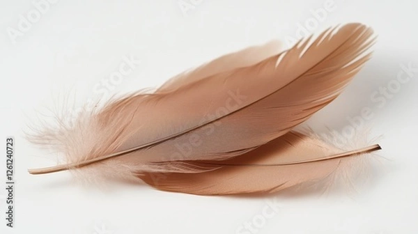 Fototapeta Delicate soft feathers resting on a smooth surface under natural light in an artful arrangement for aesthetic appeal, Mocha Mousse trend color