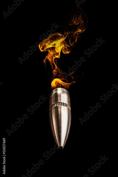 Obraz Fire And Bullet