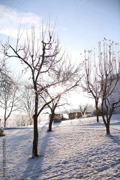 Obraz Schnee  und Haus