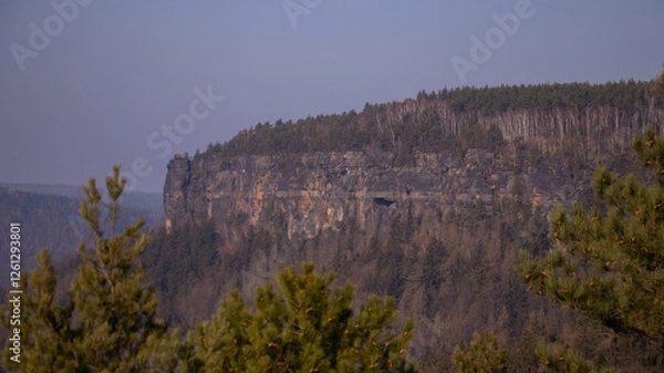 Fototapeta the mountains covered by trees 