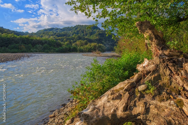 Fototapeta Snag on the shore of a mountain river. A view of the river and mountains.