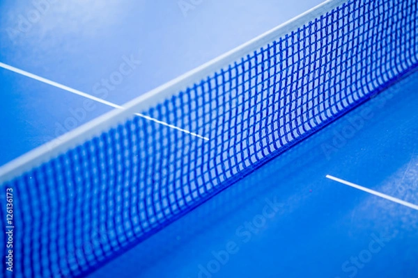 Obraz Net on blue ping pong table