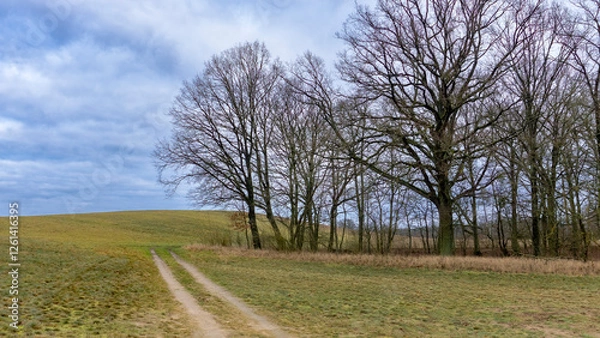 Fototapeta Ranek na Pagórkach