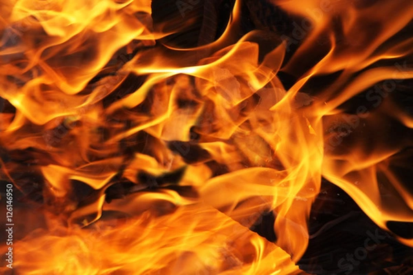 Obraz Gorące płomienie ogniska 2