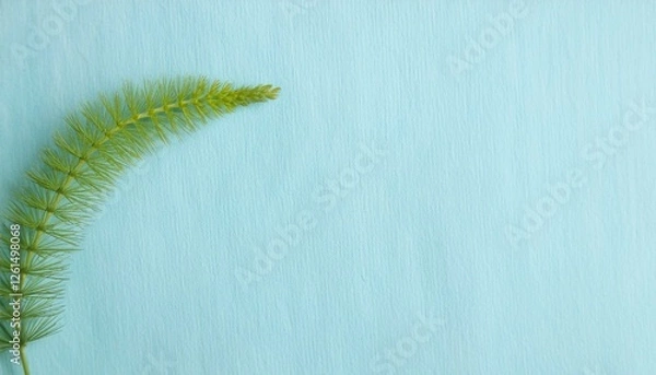 Fototapeta 淡い水色の和紙の優しい風合いと、右下にそっと佇むつくしが春の訪れを感じさせるデザイン
