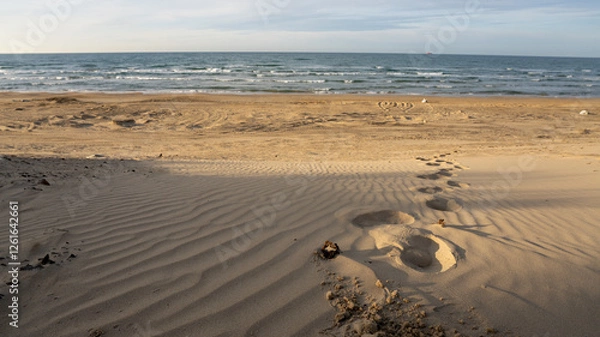 Fototapeta footprints on the sand