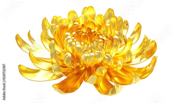 Obraz Golden chrysanthemum blossom, isolated, floral design, greeting card
