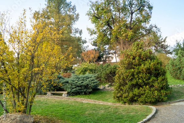 Fototapeta Colorfull italian park with trees and autumn colors