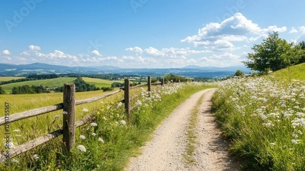 Fototapeta A scenic country path lined with wildflowers, leading through lush greenery under a bright blue sky with fluffy clouds.
