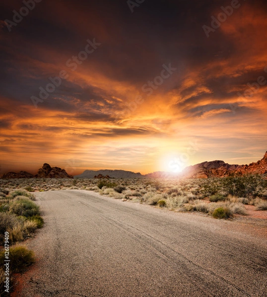 Obraz Beautiful Desert Road At Sunset