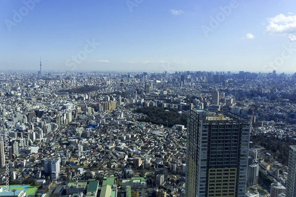Fototapeta 東京都市風景　東京都心全景　超広角　快晴　東京タワー　東京スカイツリー