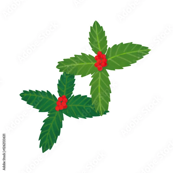 Fototapeta 赤い実をつけたセンリョウ