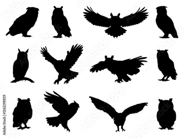 Fototapeta Set of Owl Silhouette in various poses isolated on white background