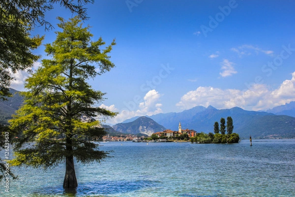 Fototapeta A view with a tree and an island in Italy