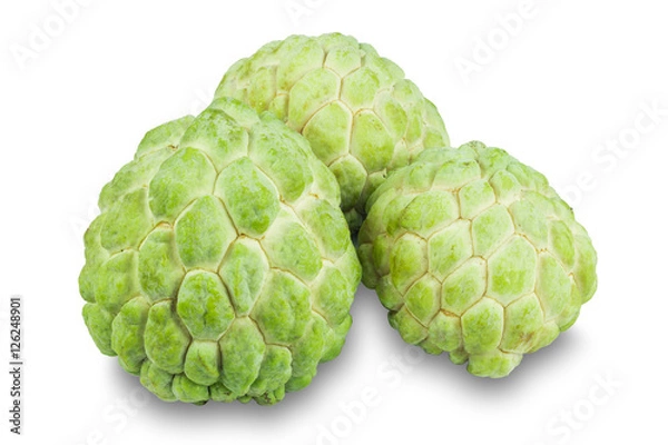Obraz Sugar apples on white background