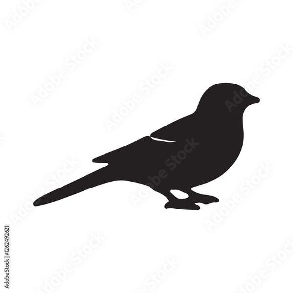 Obraz Bird silhouette vector file isolated on white background