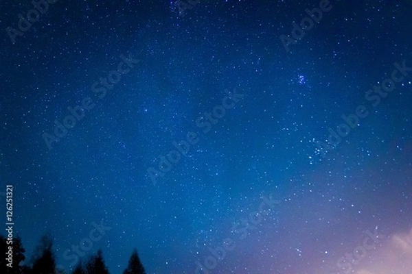 Obraz Night starry sky landscape