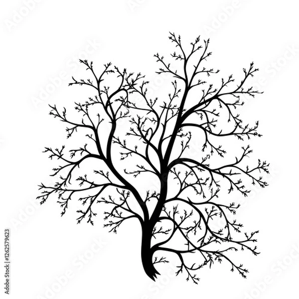 Fototapeta tree branches silhouette