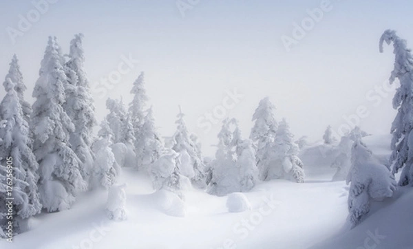 Obraz Ombre Nordique