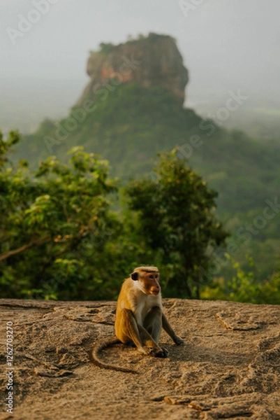 Fototapeta Punkt widokowy