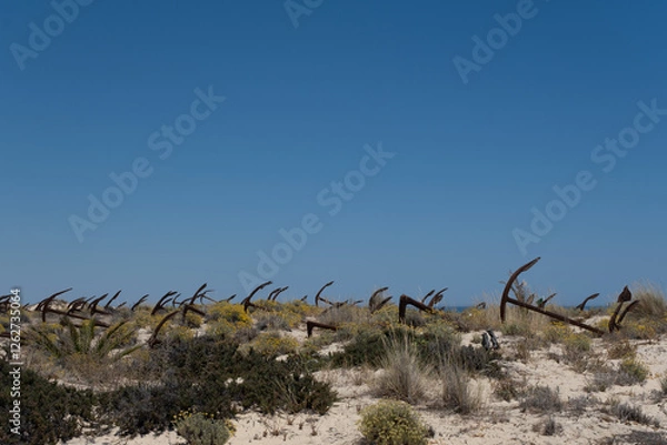 Obraz Algarve anchor beach