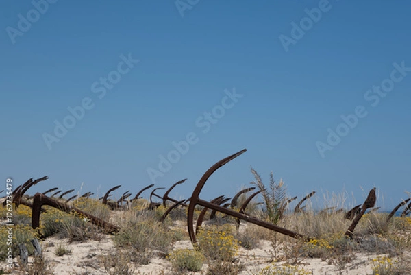 Obraz Algarve anchor beach